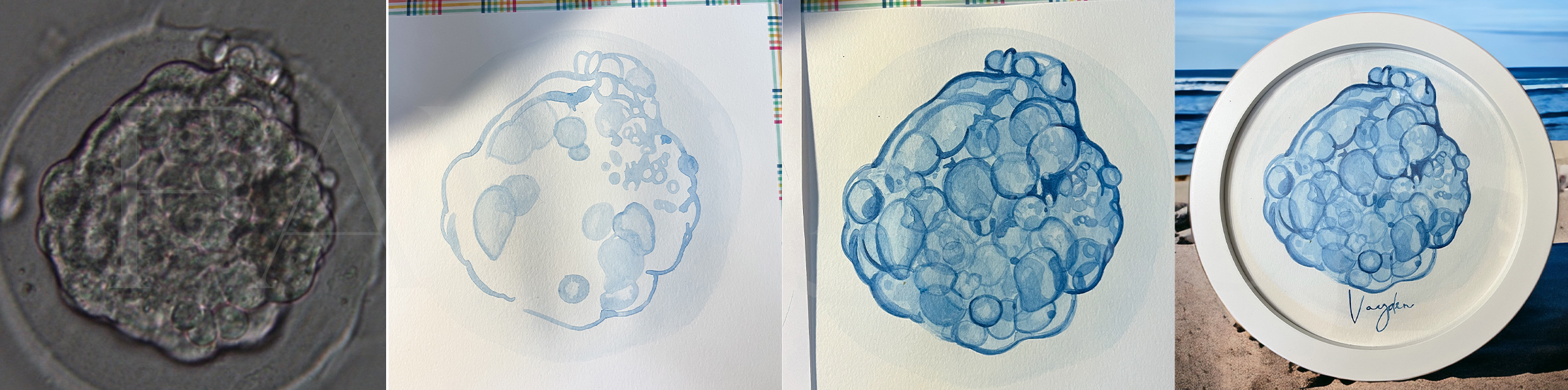Three photos showing the progression from photo to painting to final framed portrait